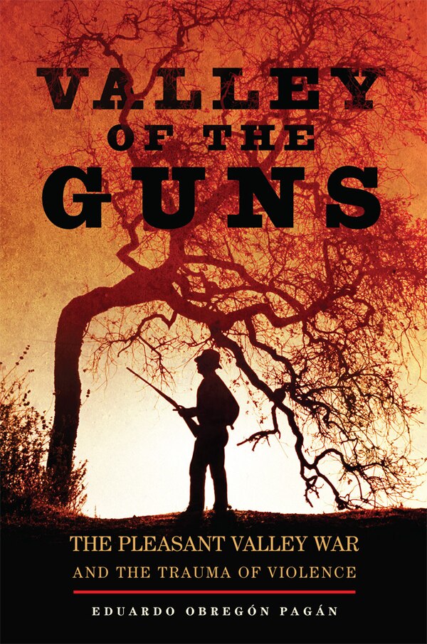 Valley Of The Guns by Eduardo Obreg�n Pag�n, Hardcover | Indigo Chapters