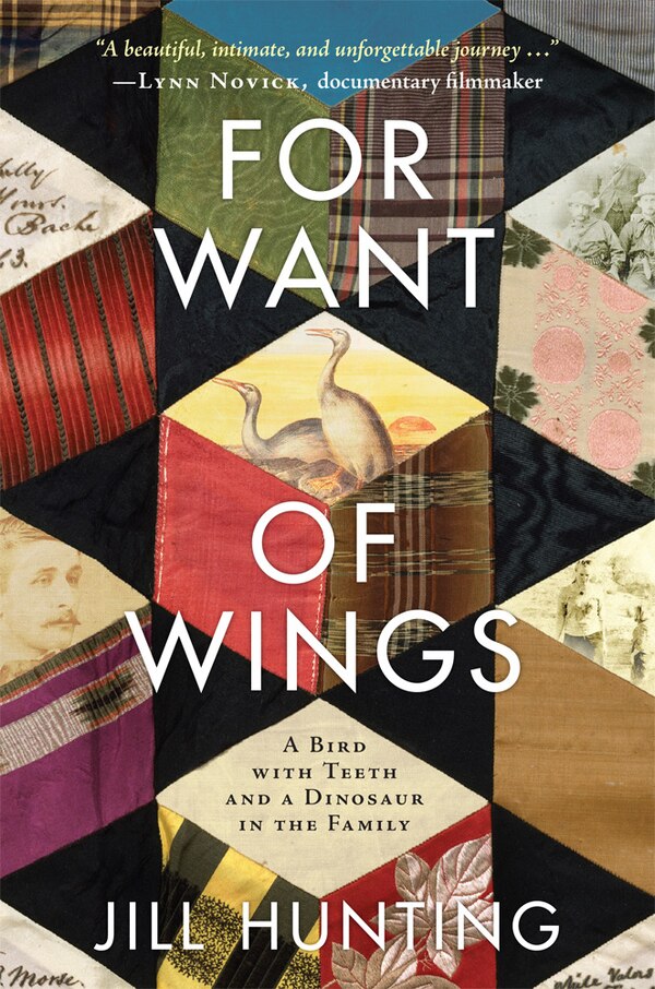 For Want of Wings by Jill Hunting, Paperback | Indigo Chapters
