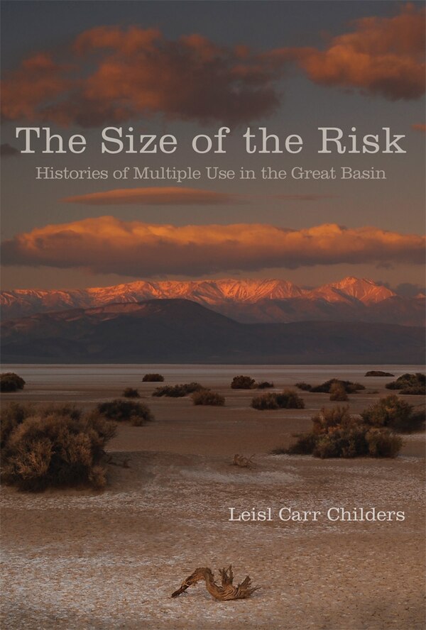 The Size of the Risk by Leisl Carr Childers, Paperback | Indigo Chapters