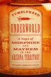 Tumbleweed Underworld by Eduardo Obregón Pagán, Hardcover | Indigo Chapters
