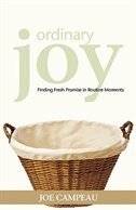 Ordinary Joy by Joe Campeau, Paperback | Indigo Chapters
