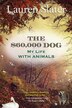 The 60 000 Dog by Lauren Slater, Paperback | Indigo Chapters