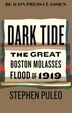 Dark Tide by Stephen Puleo, Hardcover | Indigo Chapters