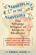 Marketplace Of The Marvelous by Erika Janik, Paperback | Indigo Chapters