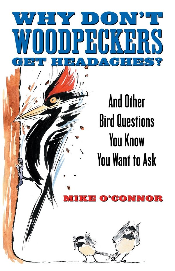 Why Don't Woodpeckers Get Headaches? by Mike O'connor, Paperback | Indigo Chapters
