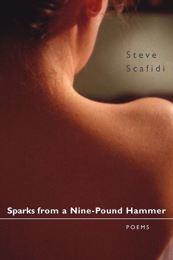 Sparks From A Nine-pound Hammer by Steve Scafidi, Paperback | Indigo Chapters