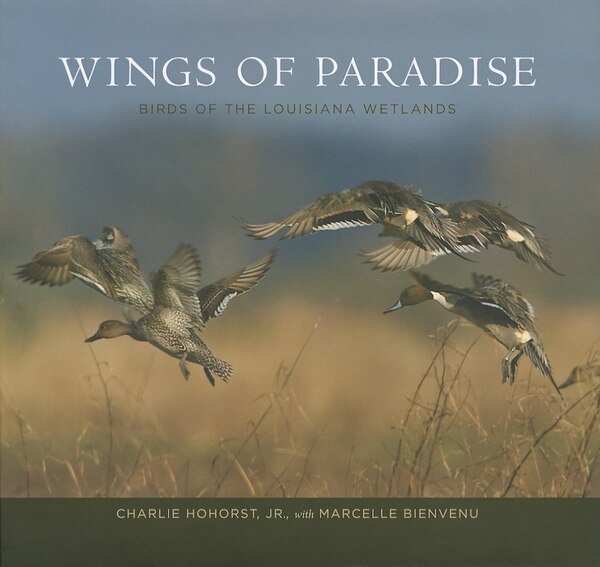 Wings Of Paradise by Charlie Hohorst, Hardcover | Indigo Chapters