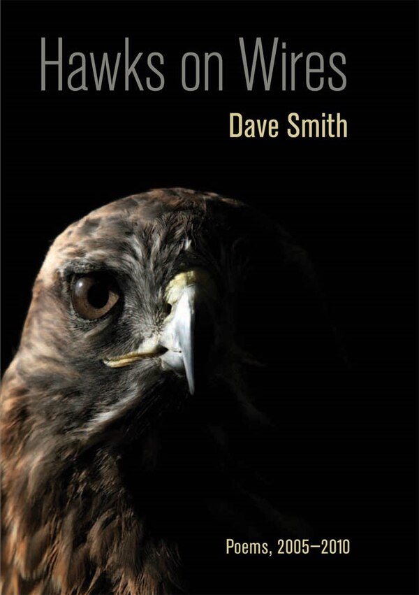 Hawks On Wires by Dave Smith, Hardcover | Indigo Chapters