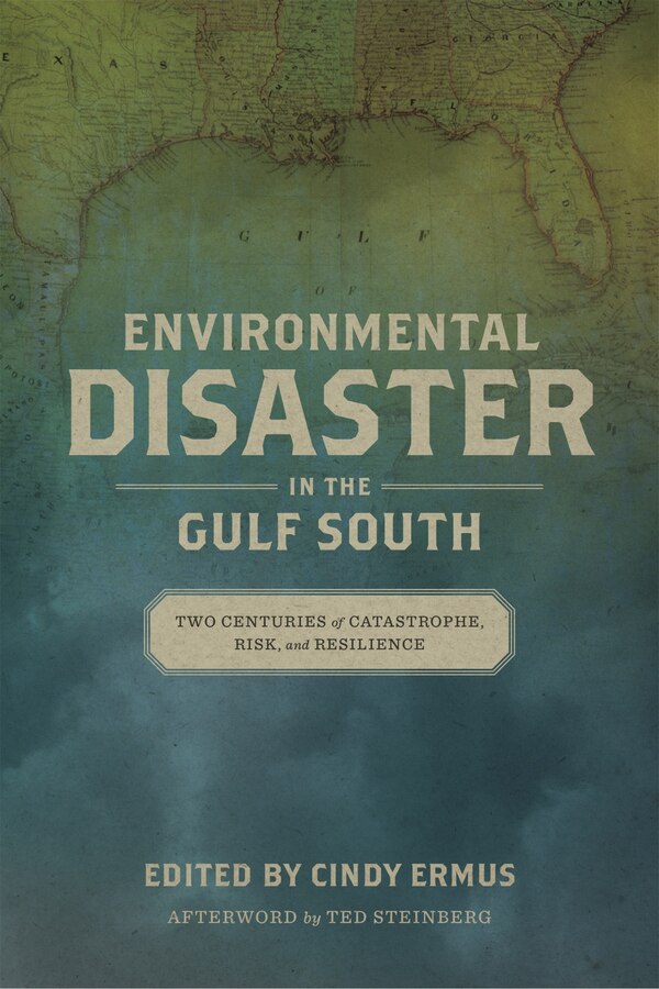 Environmental Disaster in the Gulf South by Cindy Ermus, Hardcover | Indigo Chapters