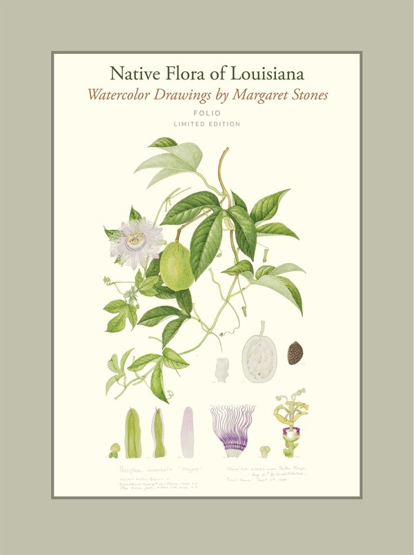 Native Flora of Louisiana by Margaret Stones, Hardcover | Indigo Chapters