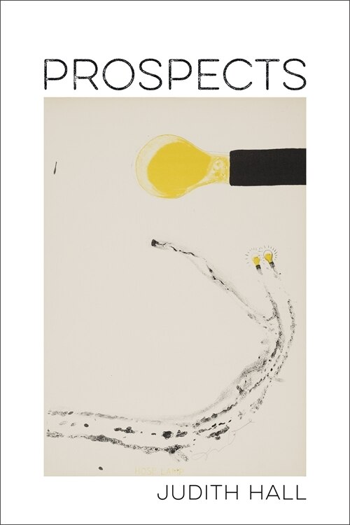 Prospects by Judith Hall, Paperback | Indigo Chapters