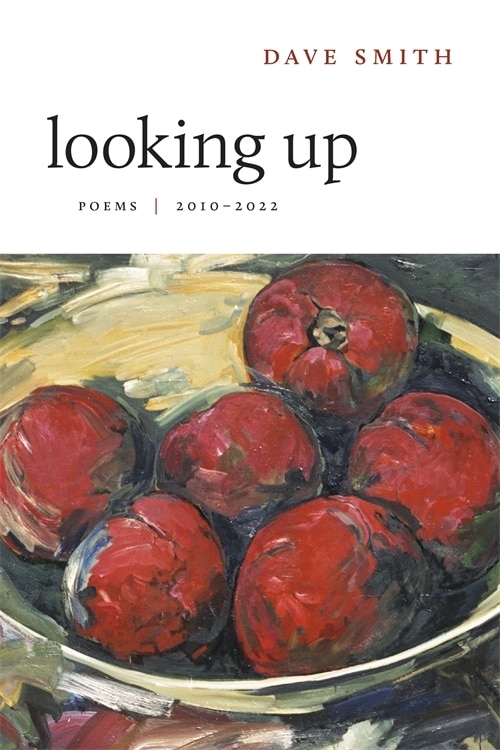 Looking Up by Dave Smith, Paperback | Indigo Chapters