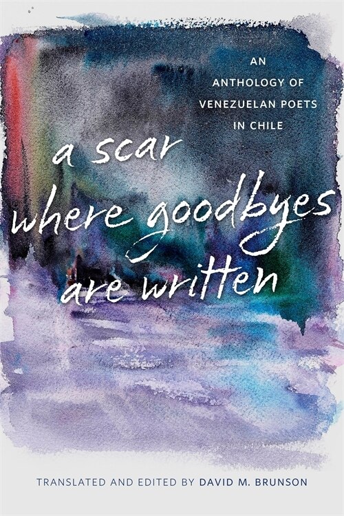 A Scar Where Goodbyes Are Written by David M. Brunson, Paperback | Indigo Chapters