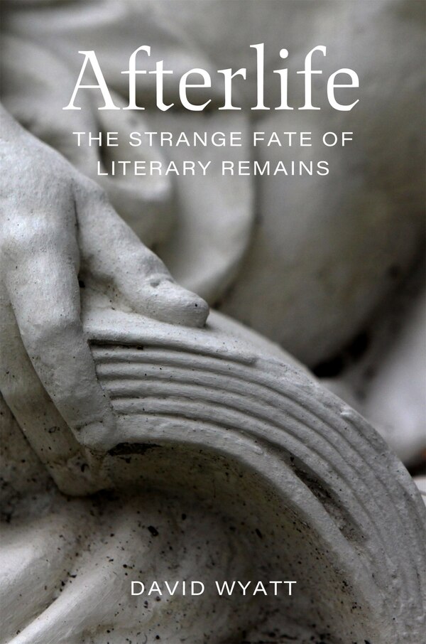 Afterlife by David Wyatt, Hardcover | Indigo Chapters