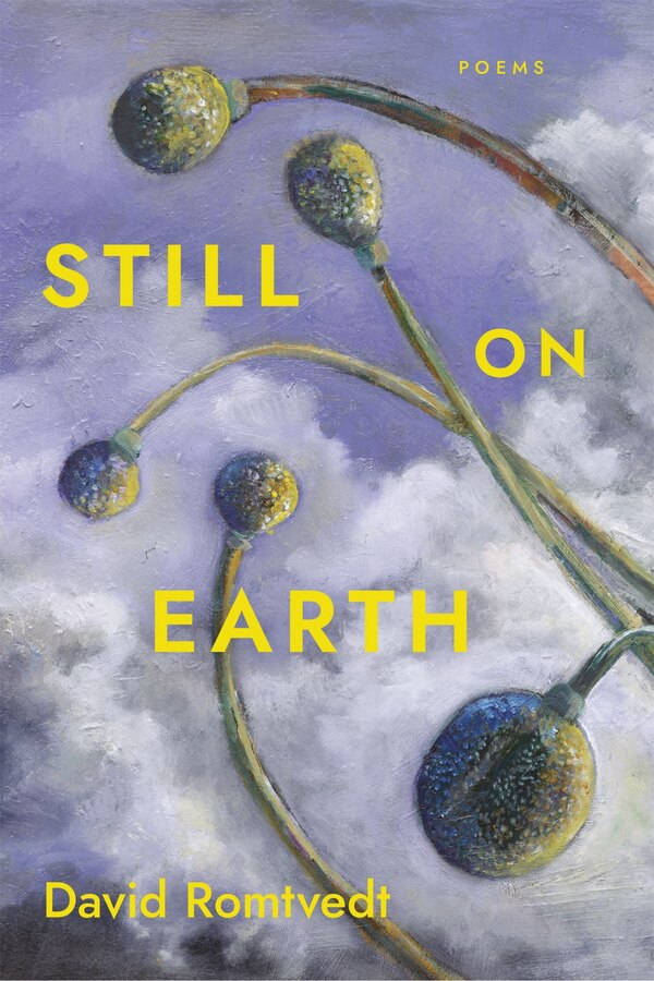 Still on Earth by David Romtvedt, Paperback | Indigo Chapters