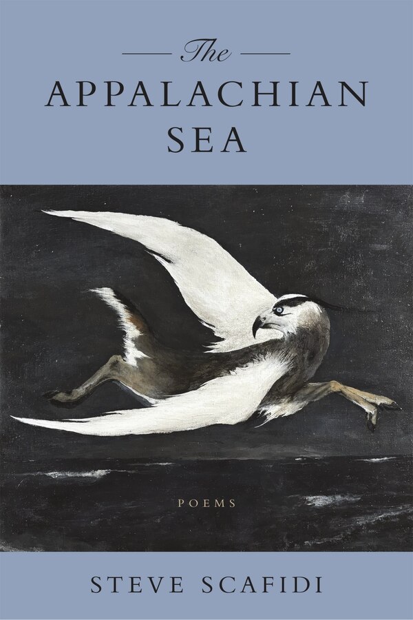 The Appalachian Sea by Steve Scafidi, Paperback | Indigo Chapters