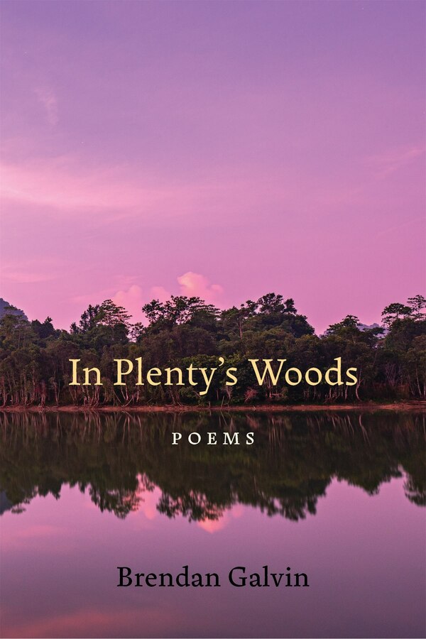 In Plenty's Woods by Brendan Galvin, Paperback | Indigo Chapters