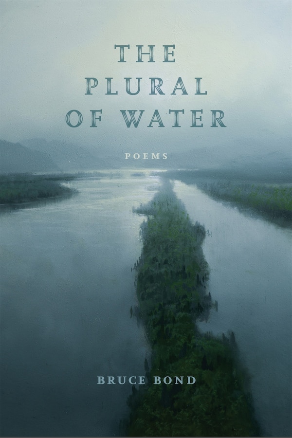 The Plural of Water by Bruce Bond, Paperback | Indigo Chapters