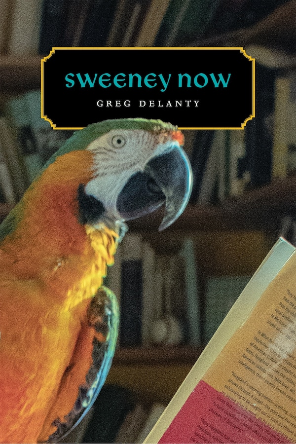 Sweeney Now by Greg Delanty, Paperback | Indigo Chapters