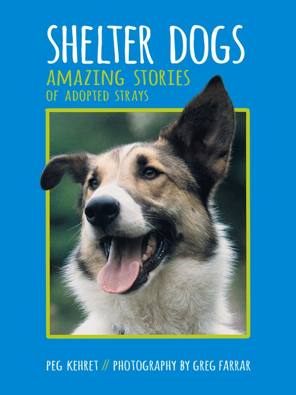 Shelter Dogs by Peg Kehret, Paperback | Indigo Chapters