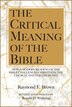 The Critical Meaning of the Bible by Raymond E Brown, Paperback | Indigo Chapters
