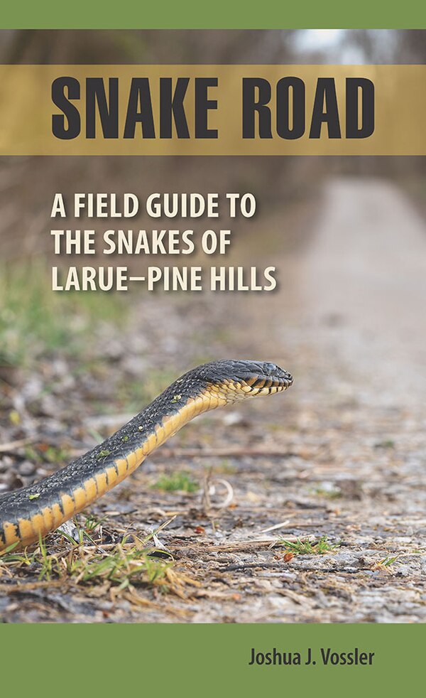 Snake Road by Joshua J. Vossler, Paperback | Indigo Chapters