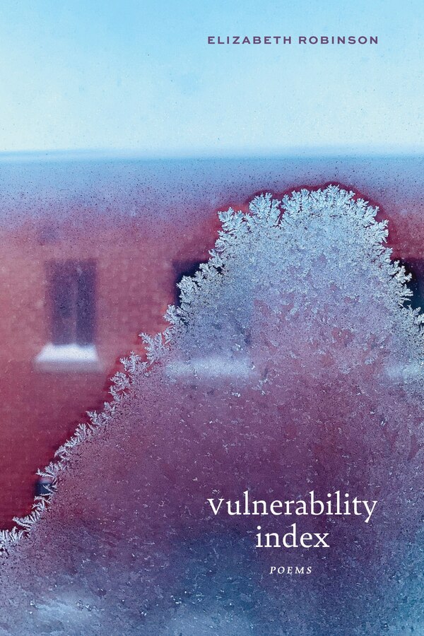 Vulnerability Index by Elizabeth Robinson, Paperback | Indigo Chapters
