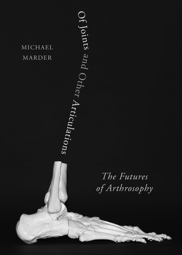Of Joints and Other Articulations by Michael Marder, Paperback | Indigo Chapters