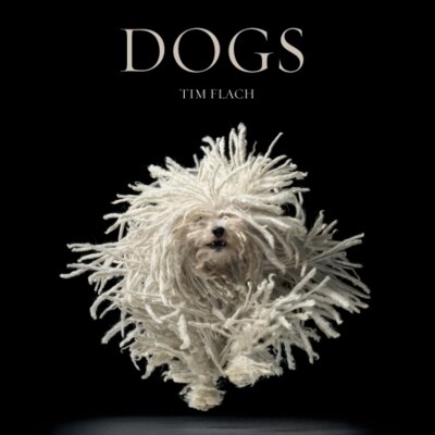 Dogs by Tim Flach, Hardcover | Indigo Chapters