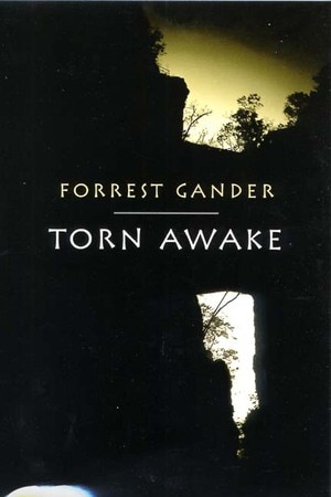 Torn Awake by Forrest Gander, Paperback | Indigo Chapters