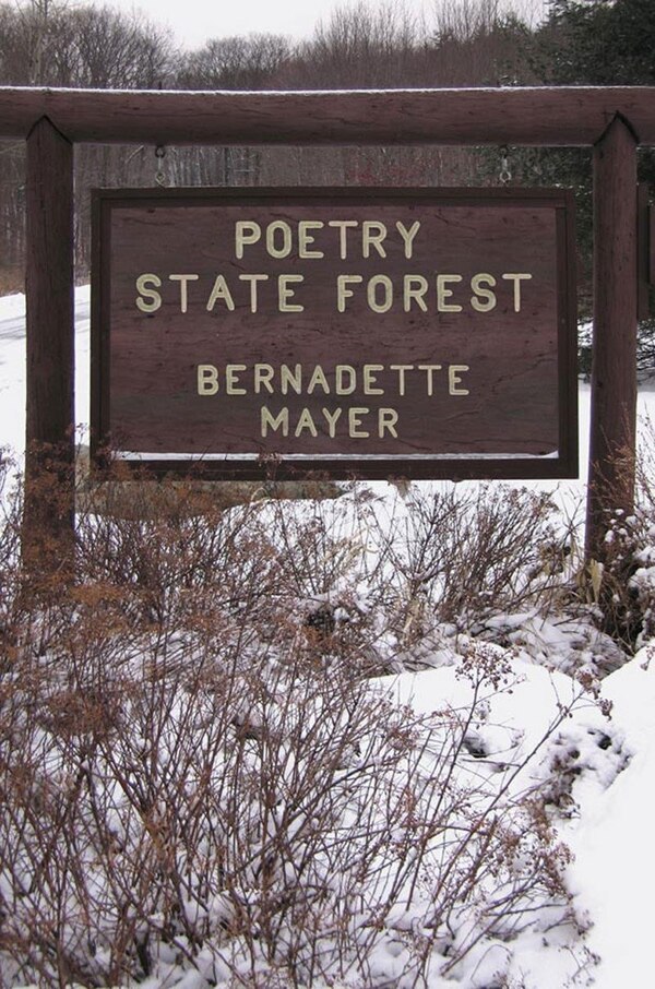 Poetry State Forest by Bernadette Mayer, Paperback | Indigo Chapters
