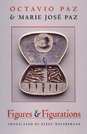 Figures & Figurations by Marie José Paz, Paperback | Indigo Chapters