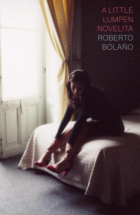 A Little Lumpen Novelita by Roberto Bolano, Hardcover | Indigo Chapters