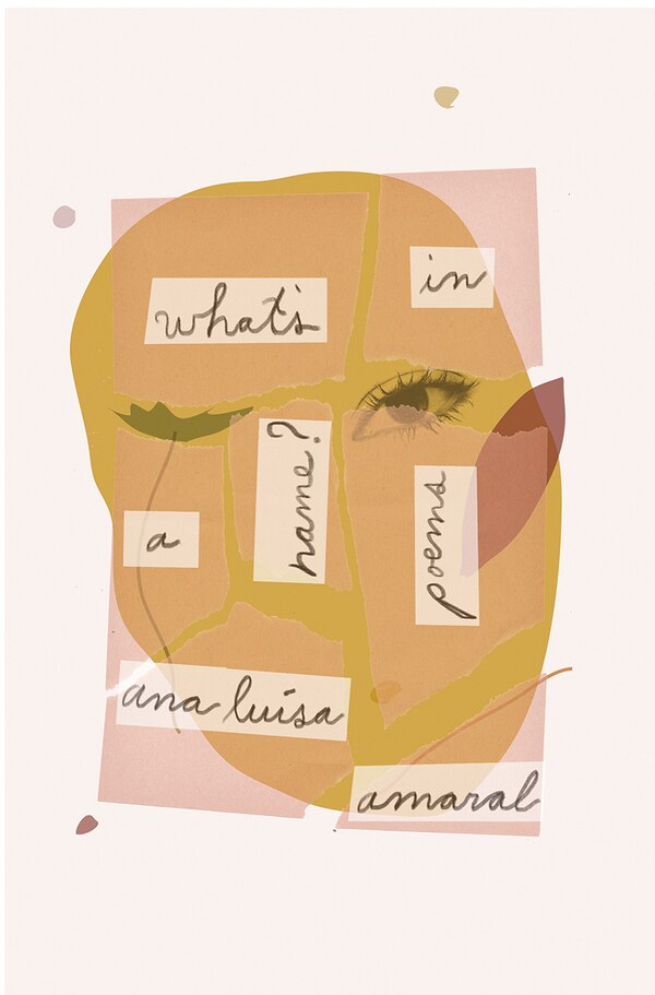 What's In A Name by Ana Luisa Amaral, Paperback | Indigo Chapters