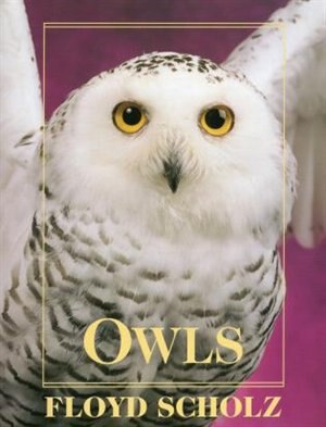 Owls by Floyd Scholz, Hardcover | Indigo Chapters