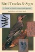 Bird Tracks & Sign by Mark Elbroch, Paperback | Indigo Chapters