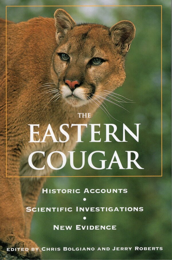 Eastern Cougar by Chris Bolgiano, Paperback | Indigo Chapters