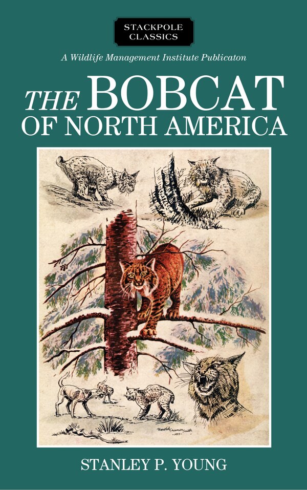 The Bobcat of North America by Stanley P. Young, Hardcover | Indigo Chapters