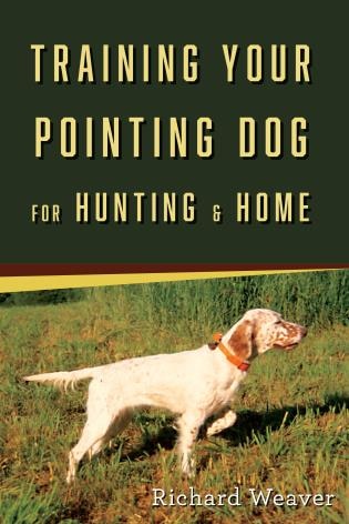 Training Your Pointing Dog for Hunting & Home by Richard Weaver, Paperback | Indigo Chapters