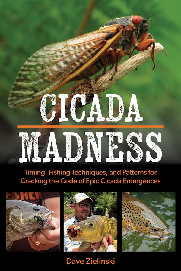Cicada Madness by Dave Zielinski, Paperback | Indigo Chapters