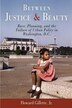Between Justice And Beauty by Howard Gillette, Paperback | Indigo Chapters