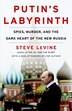 Putin's Labyrinth by Steve Levine, Paperback | Indigo Chapters