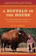A Buffalo In The House by R. D. Rosen, Paperback | Indigo Chapters