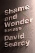 Shame And Wonder by David Searcy, Hardcover | Indigo Chapters