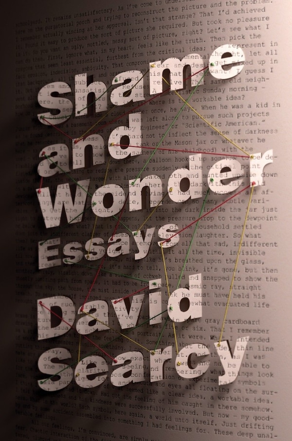 Shame And Wonder by David Searcy, Hardcover | Indigo Chapters