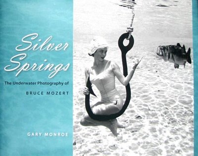 Silver Springs by Gary Monroe, Hardcover | Indigo Chapters