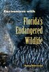 Encounters With Florida's Endangered Wildlife by Doug Alderson, Hardcover | Indigo Chapters