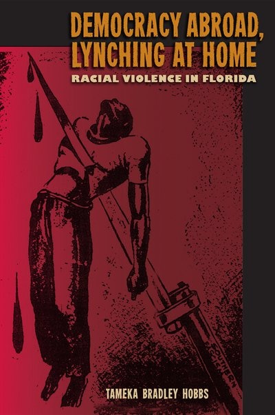 Democracy Abroad Lynching At Home by Tameka Bradley Hobbs, Paper over Board | Indigo Chapters