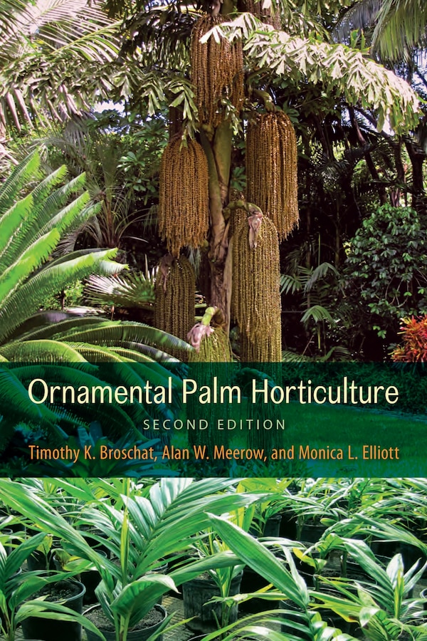 Ornamental Palm Horticulture by Timothy K. Broschat, Paperback | Indigo Chapters