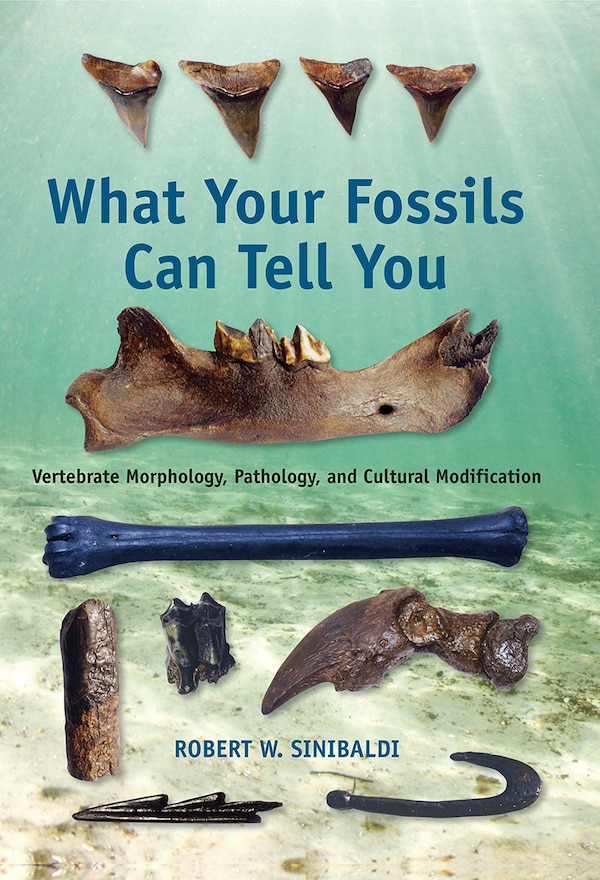 What Your Fossils Can Tell You by Robert W. Sinibaldi, Paperback | Indigo Chapters